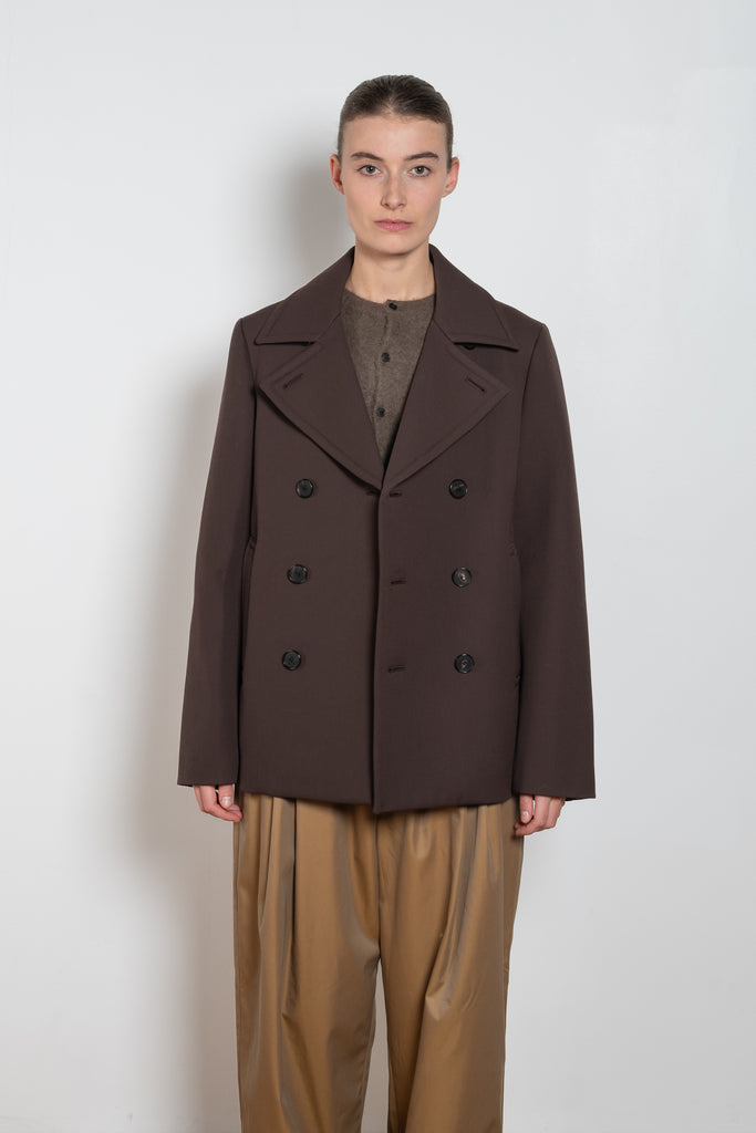 auralee peacoat brown