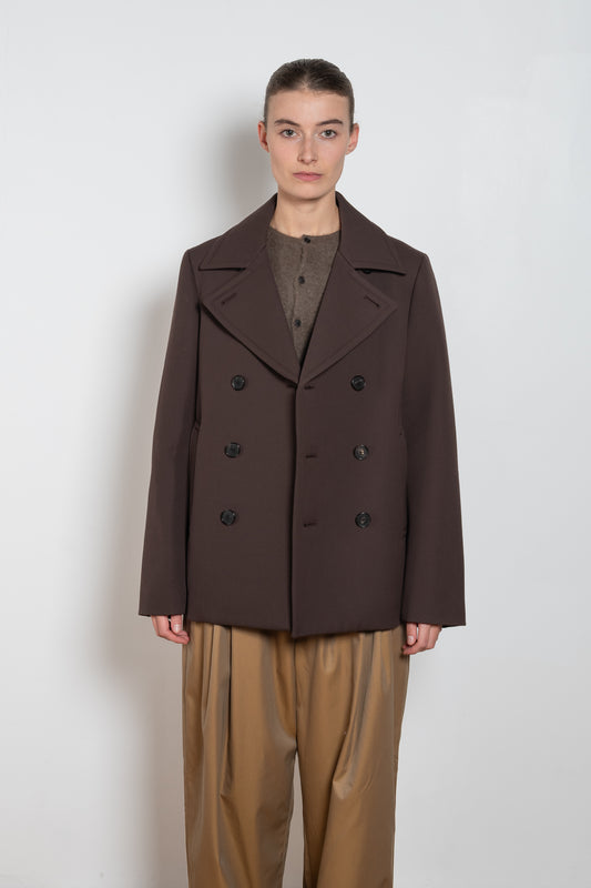auralee peacoat brown