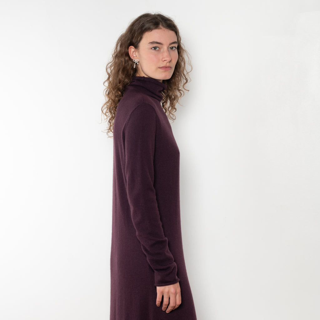 The Ailina Dress by LISA YANG is a fine knit cashmere maxi dress with a turtle neck