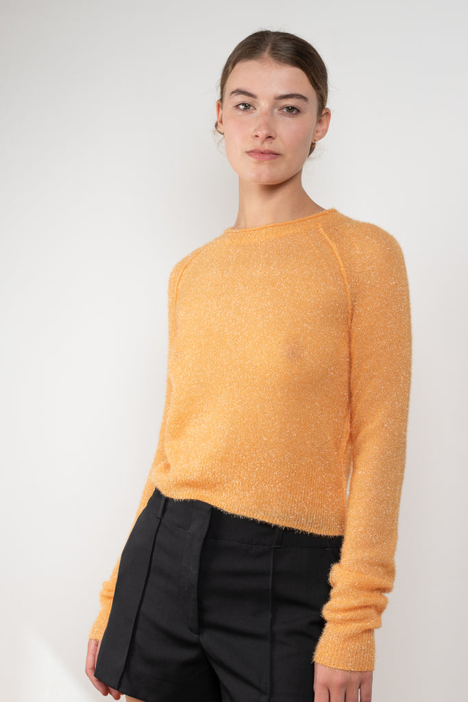 The Sparkly Crew Neck Sweater 480 by Acne Studios is a lightweight sweater with a cut-out detailing with tie-up closure on the back and a glistening effect